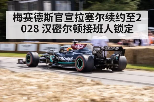 Mercedes F1 car